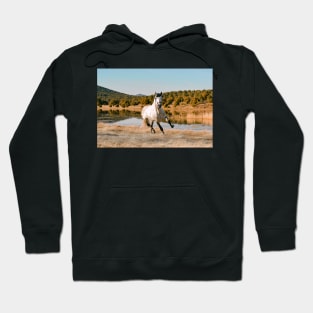 White Horse Running Hoodie